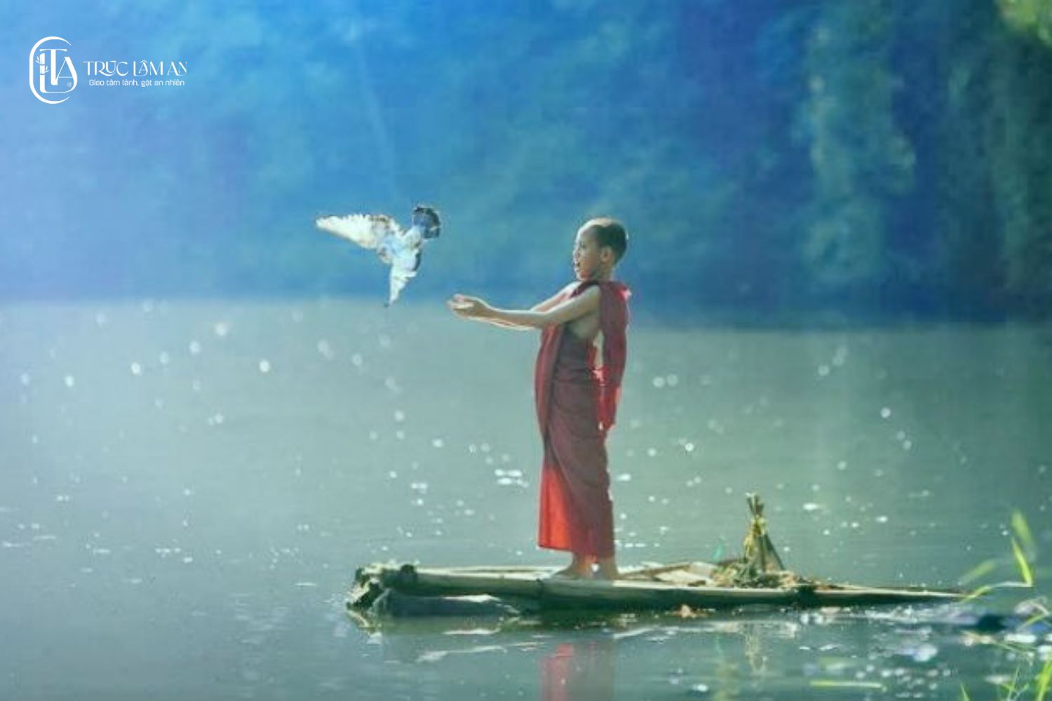 Tâm từ bi là gì