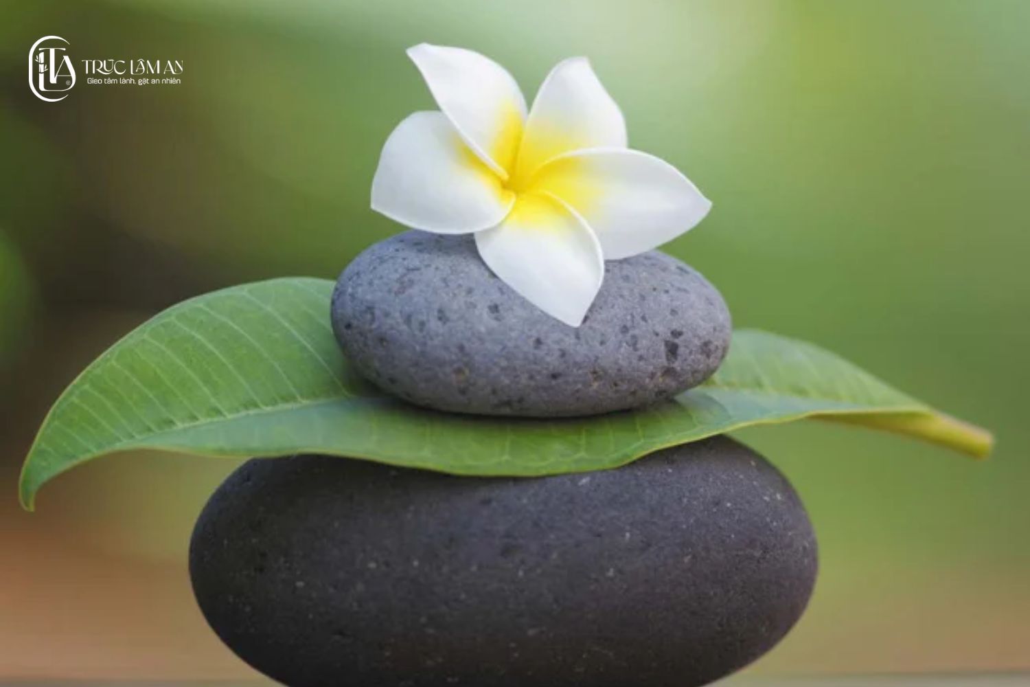 Vì sao càng bận rộn, ta càng cần sống chánh niệm?