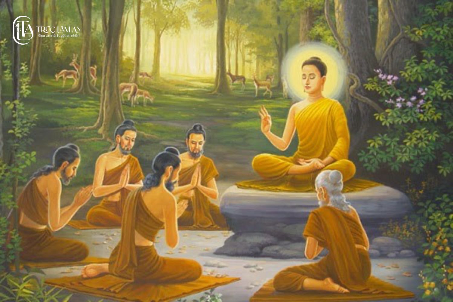 Vì sao nên bắt đầu học phật qua sách?