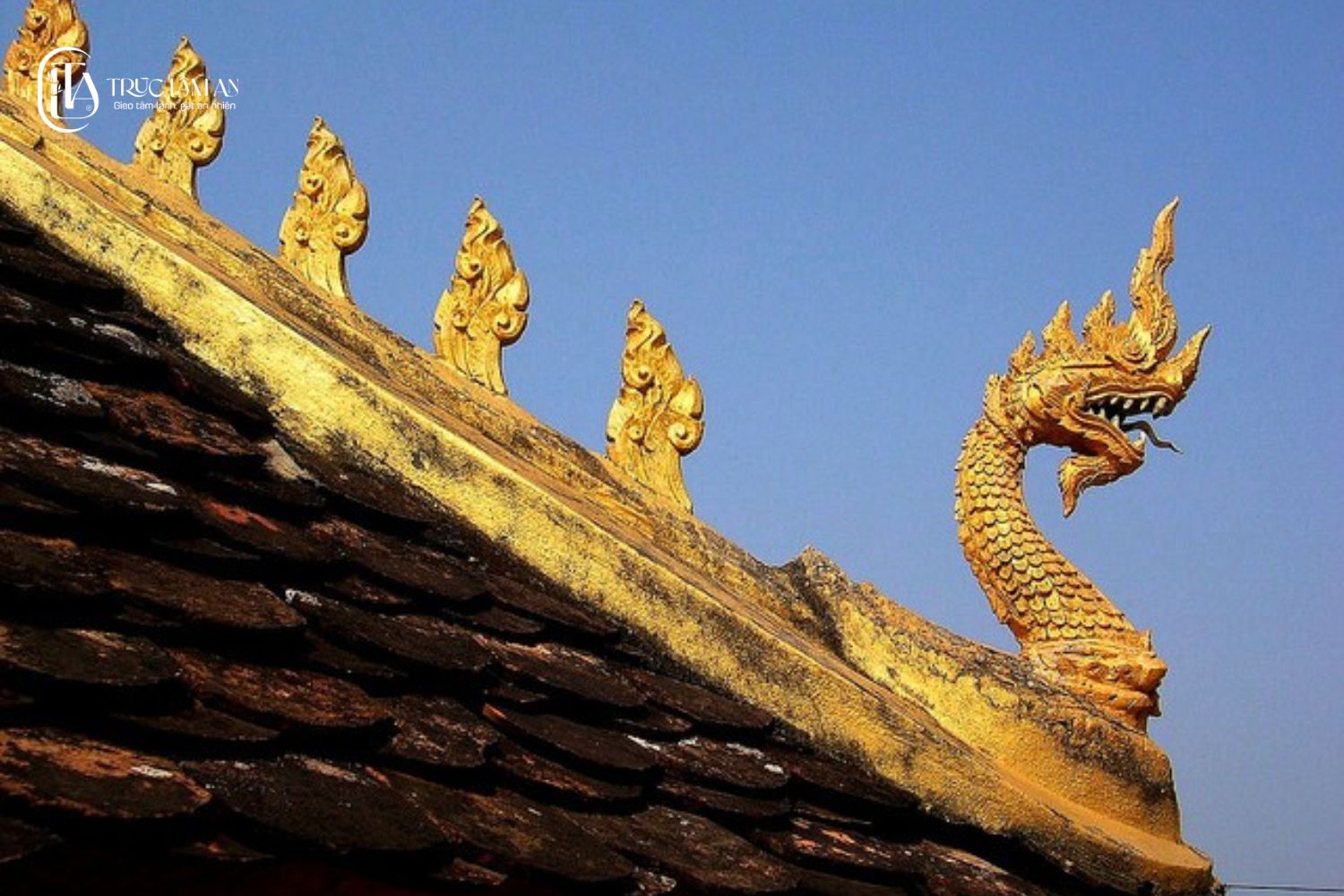 Vua rắn Naga là một trong 8 biểu tượng linh thiêng và ý nghĩa của Phật giáo