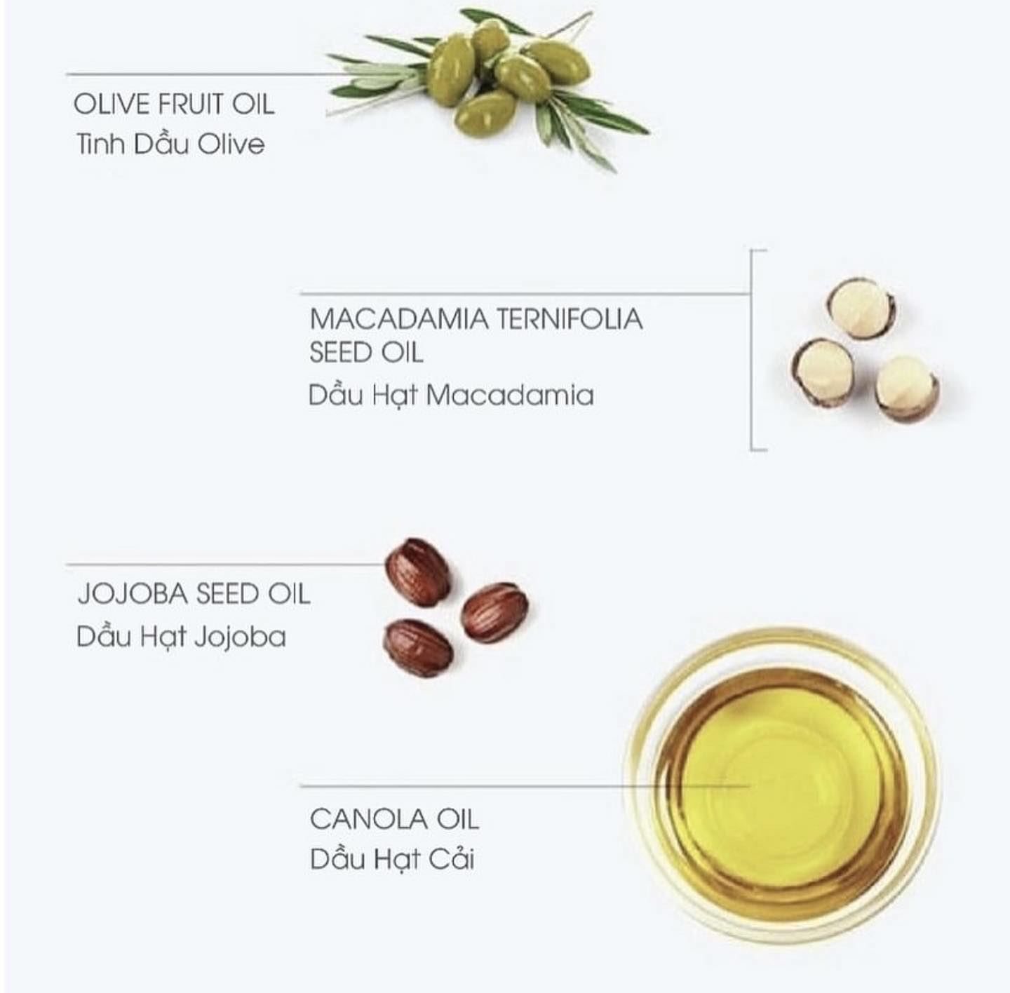Dầu tẩy trang Graymelin Vintage Canola Crazy Cleansing Oil  300ml