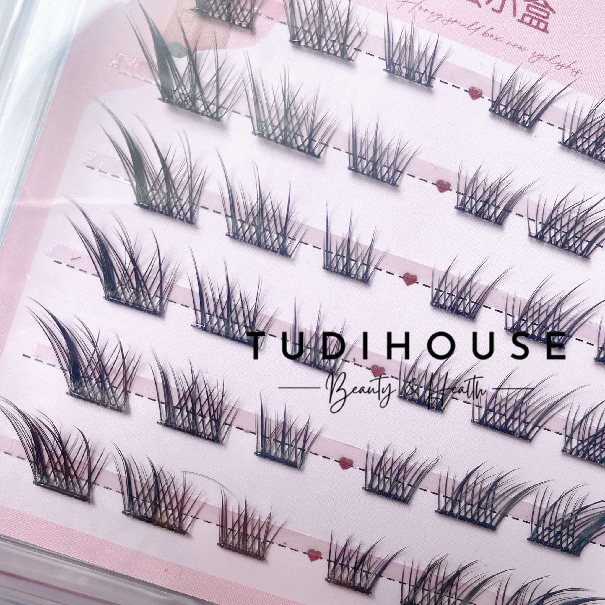 Mi giả cụm dáng Fox Eyes ( hộp 6 cặp )