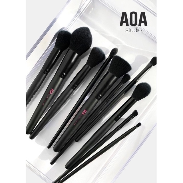 BỘ CỌ 10 CÂY KÈM BAO DA AOA PLUSH Faux Mink Brush Set