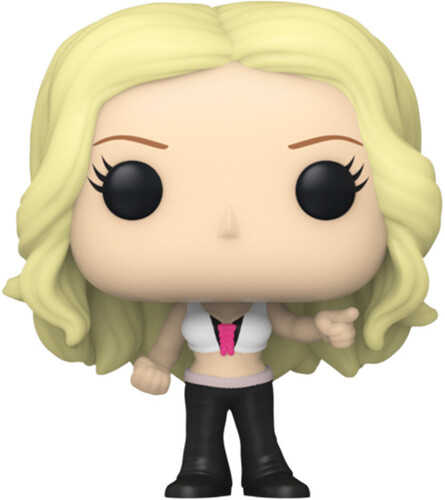 FUNKO COUNTDOWN CALENDAR: WWE - 2023 14 Day (Large Item, Vinyl Figure)