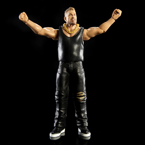 Mattel Collectible - WWE Figure #22 (Large Item, Action Figure, Collectible)