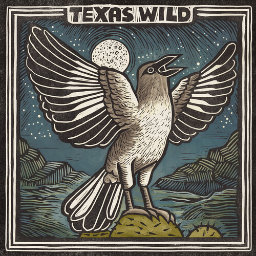 Various Artists - Texas Wild (Various Artists)