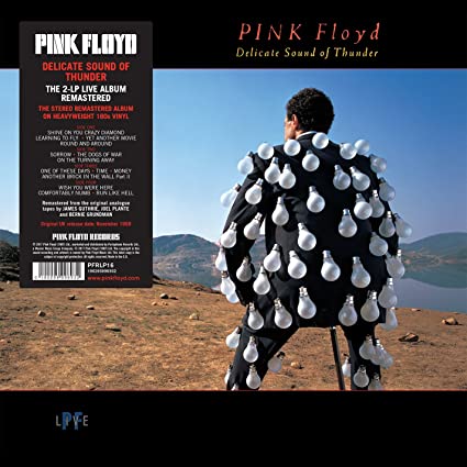 vinyl PINK FLOYD - DELICATE SOUND OF THUNDER (2 Lp)
