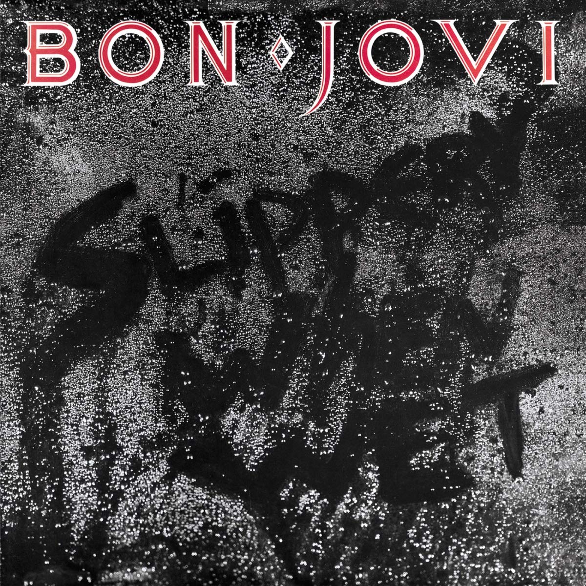 Đĩa than Bon Jovi -  Slippery When Wet