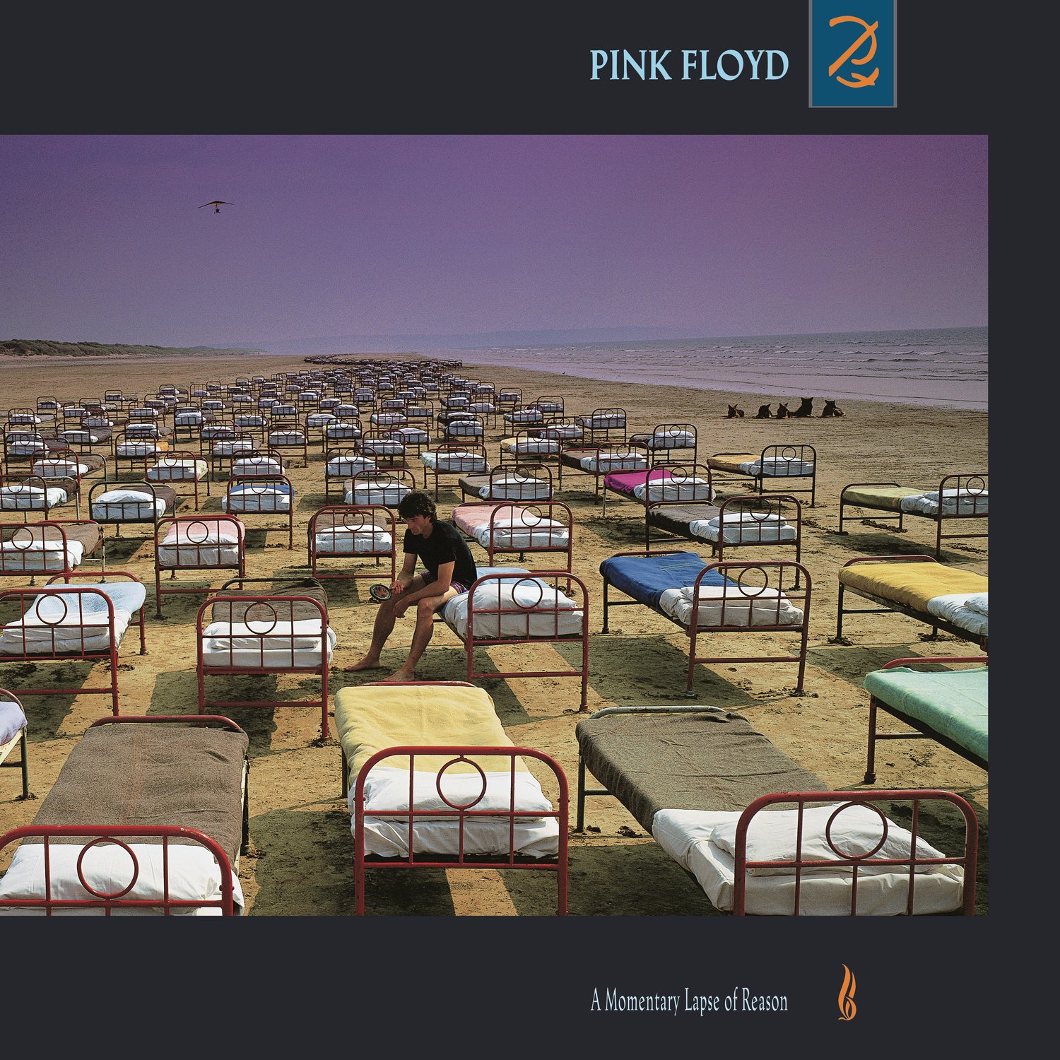 Đĩa than Pink Floyd ‎– A Momentary Lapse Of Reason