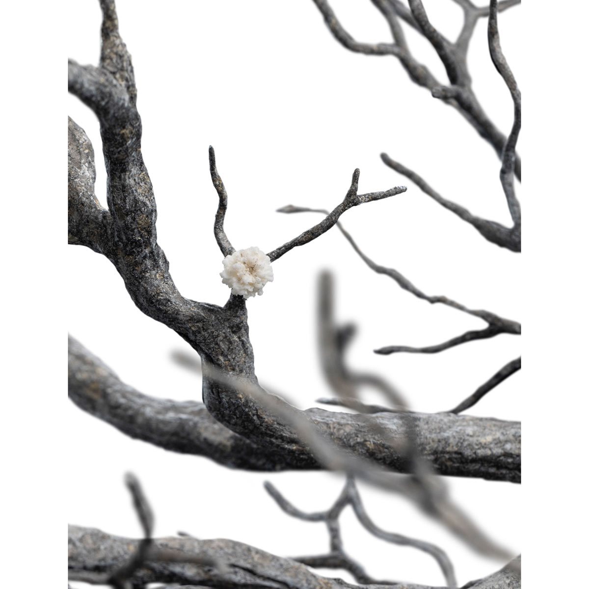 Weta Workshop - LOTR - Fountain Guard of the White Tree 1-6 Scale (Limited Ed.)