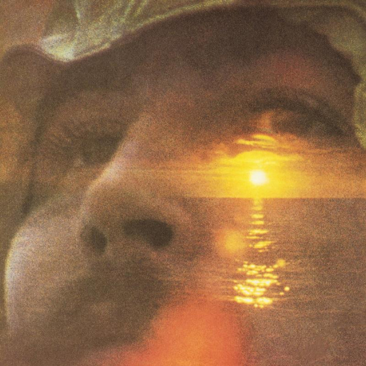 David Crosby If I Could Only Remember My Name (Atlantic 75 Series) 180g 45rpm 2LP