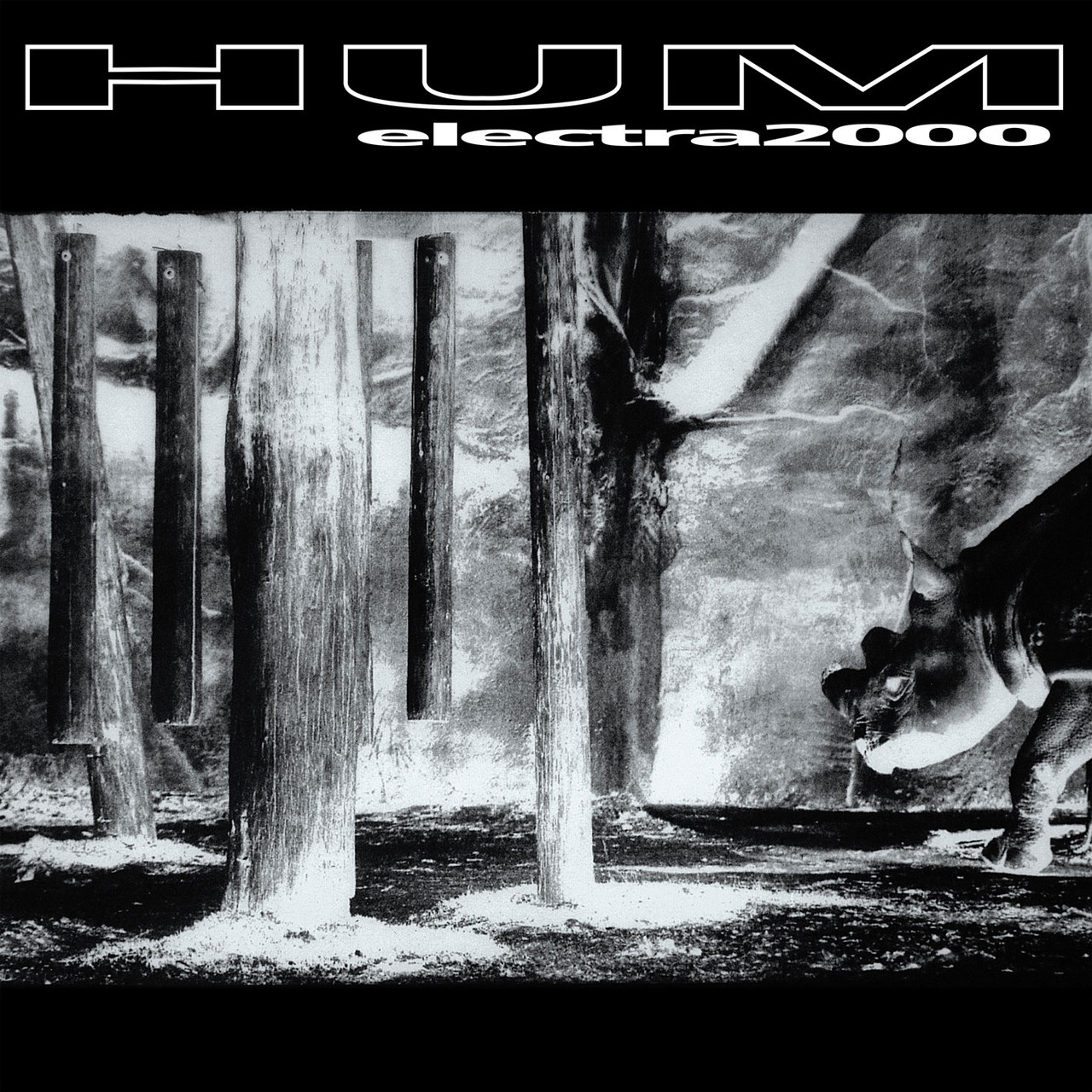 Hum Electra 2000 180g 45rpm 2LP