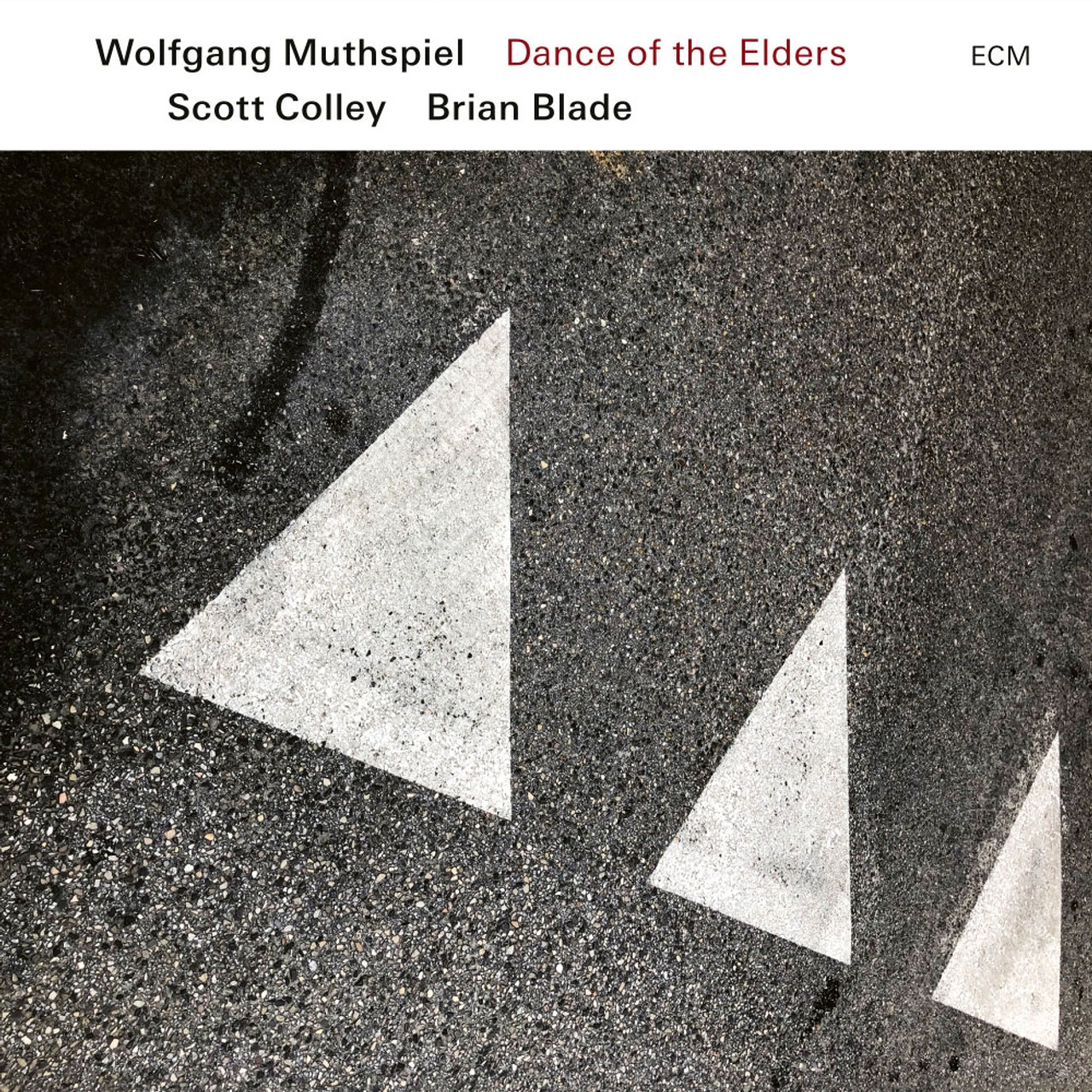 Wolfgang Muthspiel, Scott Colley & Brian Blade Dance of the Elders LP