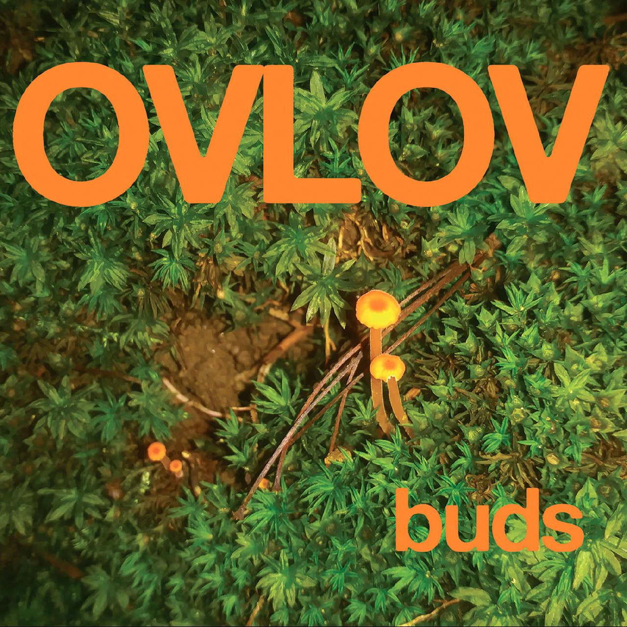 Ovlov Buds LP (Green Vinyl)