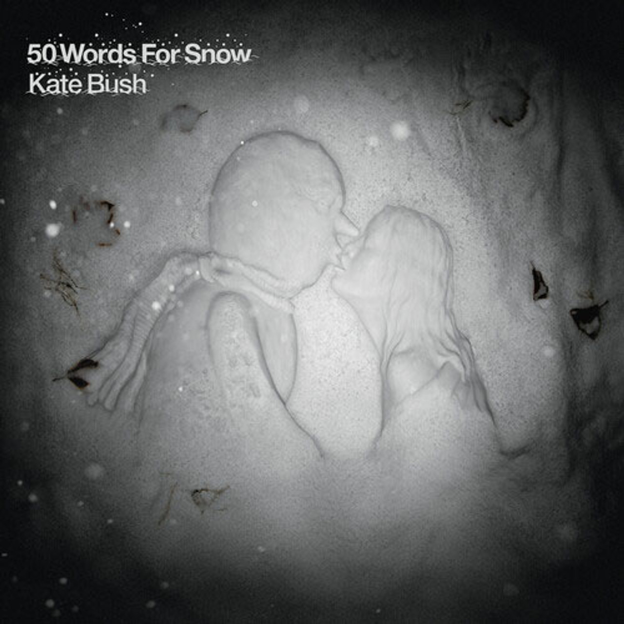 Kate Bush 50 Words For Snow 180g Import 2LP