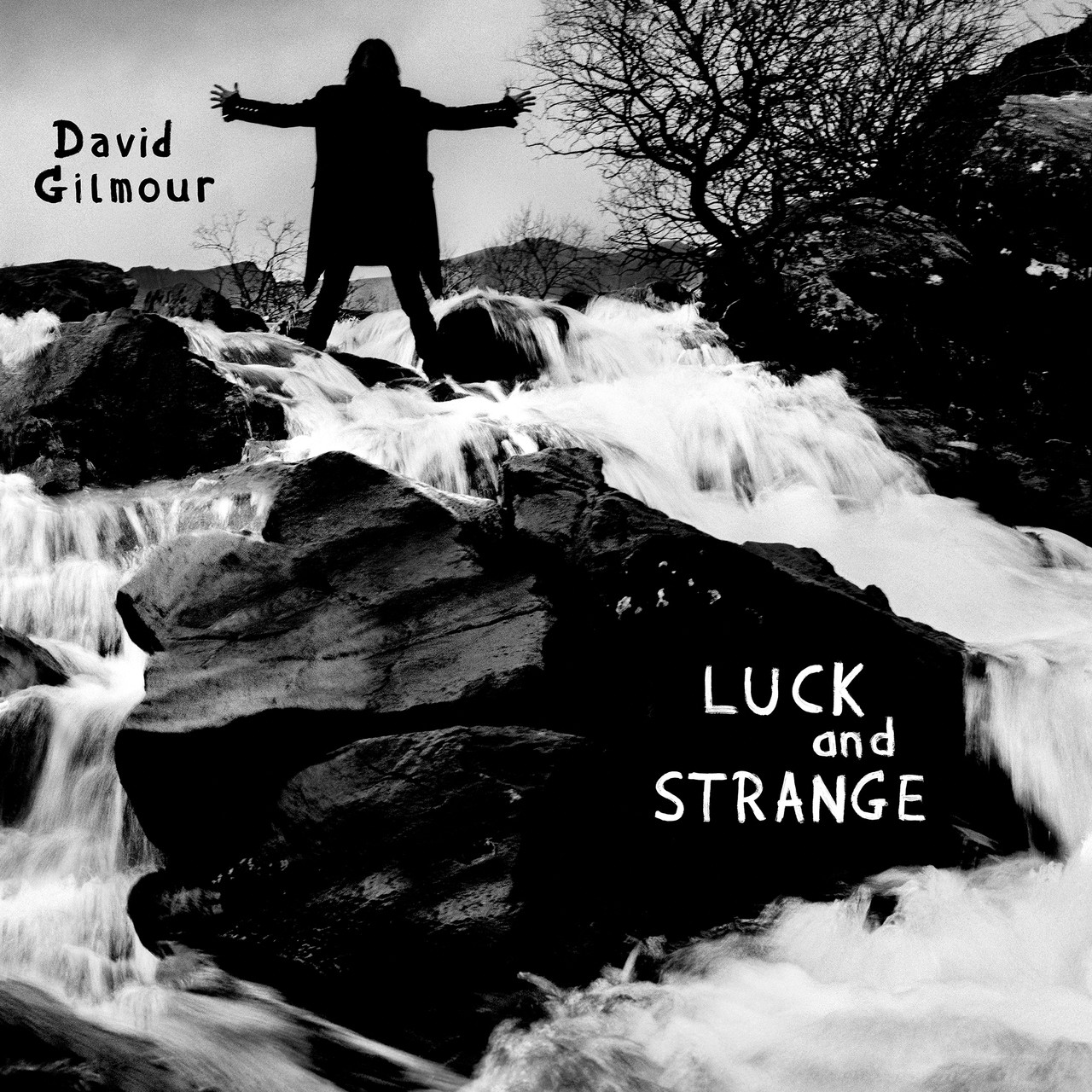 David Gilmour - Luck and Strange LP (Translucent Sea Blue Vinyl)