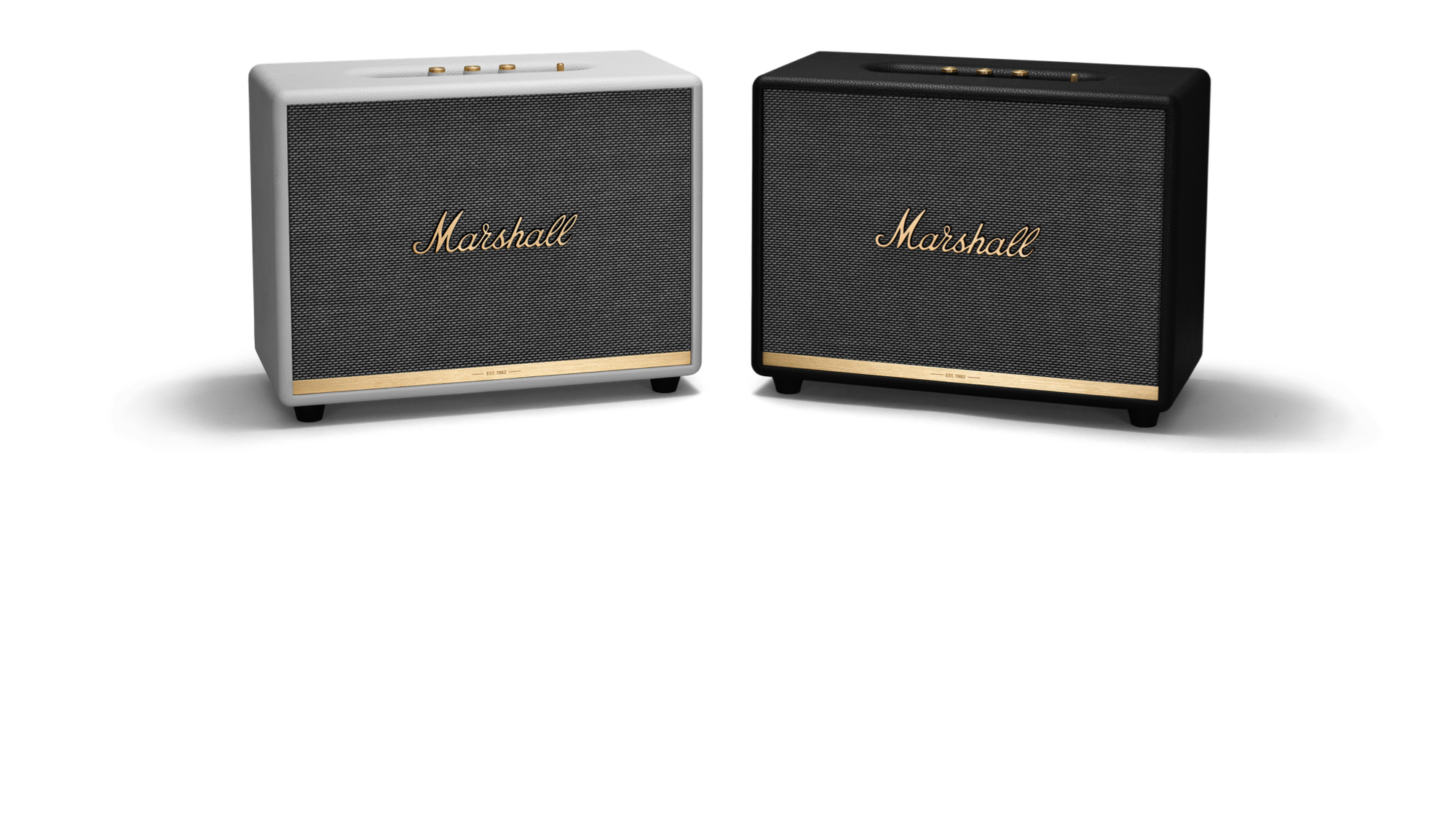 LOA MARSHALL WOBURN 2 ( MÀU NÂU )
