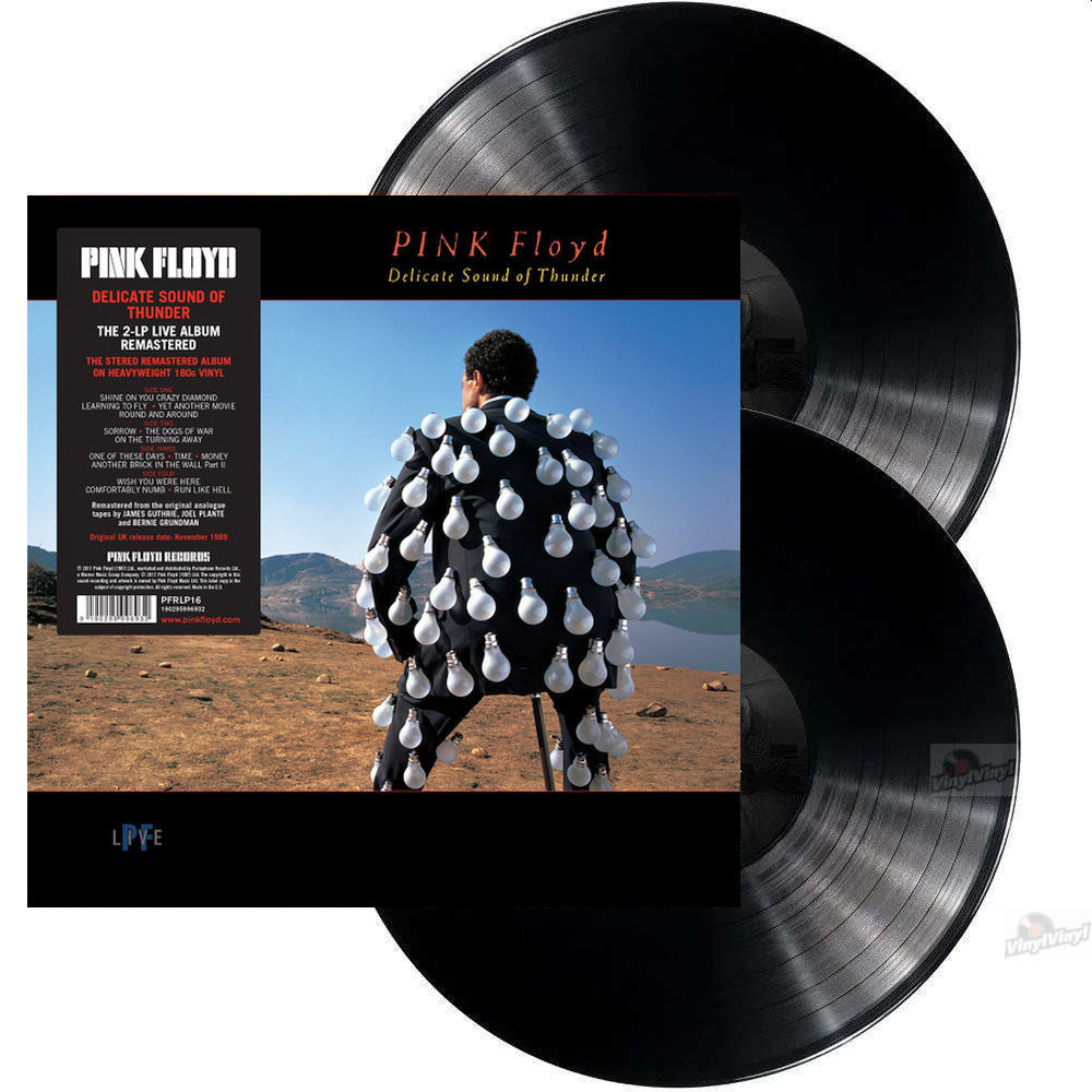 vinyl PINK FLOYD - DELICATE SOUND OF THUNDER (2 Lp)