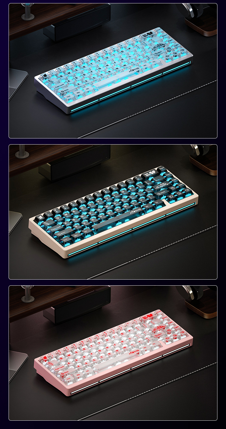 [Order] Kit Bàn phím cơ WEIKAV NUT65 - PCB 1,6mm