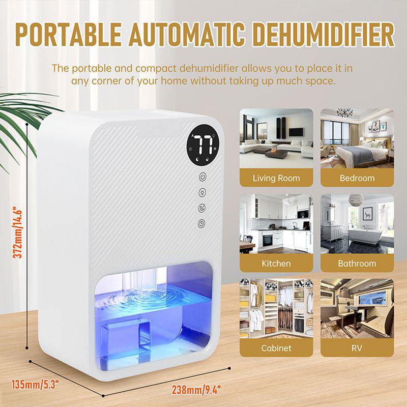 Máy hút ẩm dehumidifier