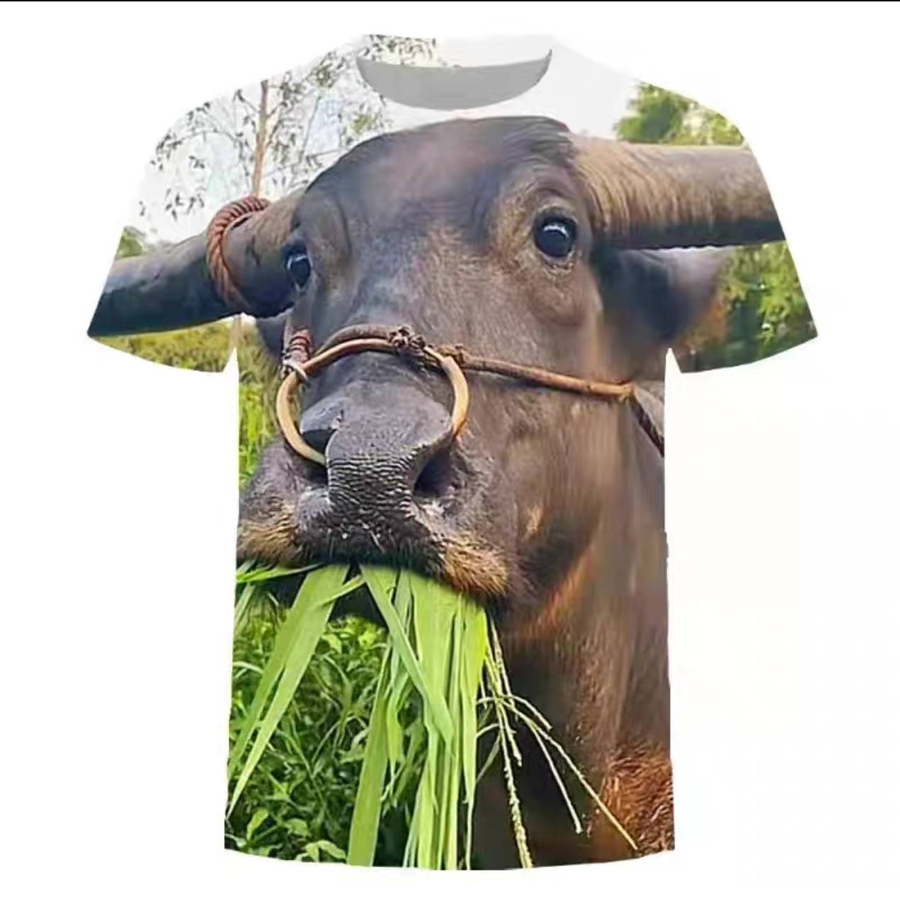 [Order] Áo Meme vui nhộn Bocchi - Đã đóng ngày 20/01/2026