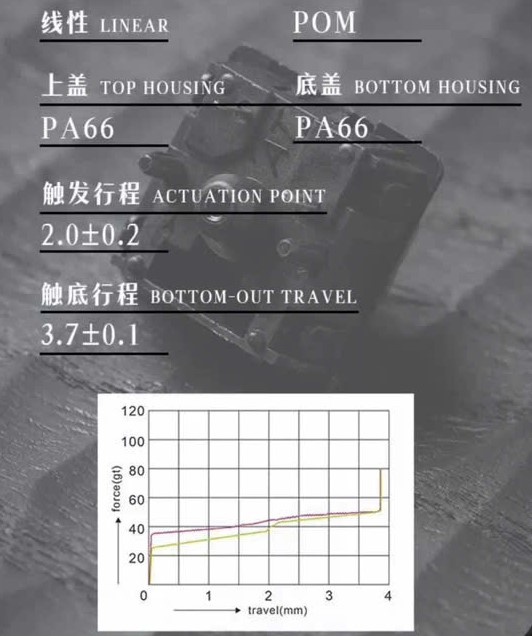 [Order] Wingtree Feather Switch - Đã đóng ngày 14/12/2025