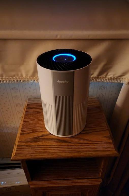 [Instock]  Máy lọc không khí Aeocky - Dùng cho phòng nhỏ 20-25m2