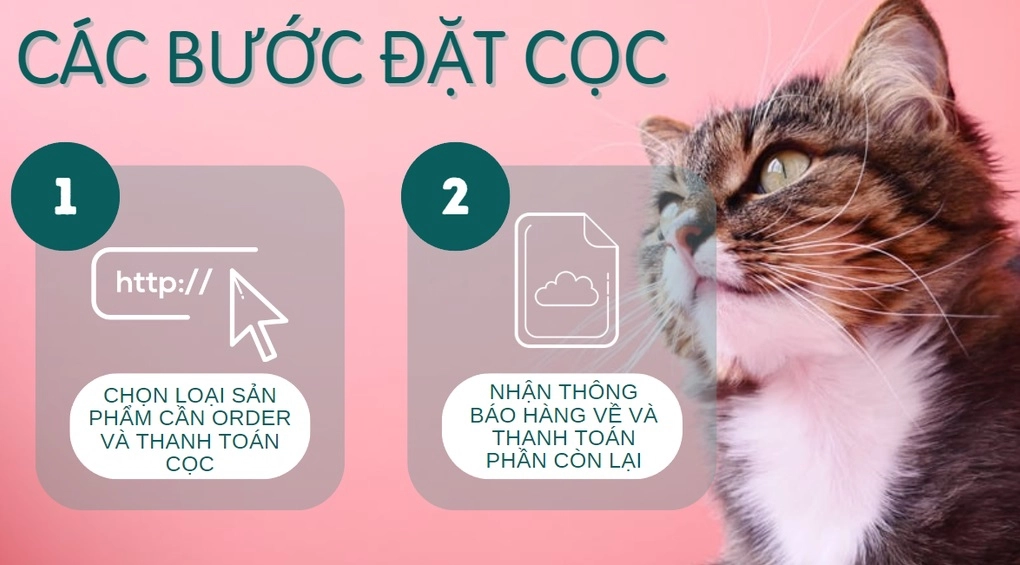 Màn hình Xiaomi 24inch P24FBA-RA