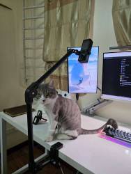 [Order] Epmic TM09 - Đã đóng ngày 05/06/2025