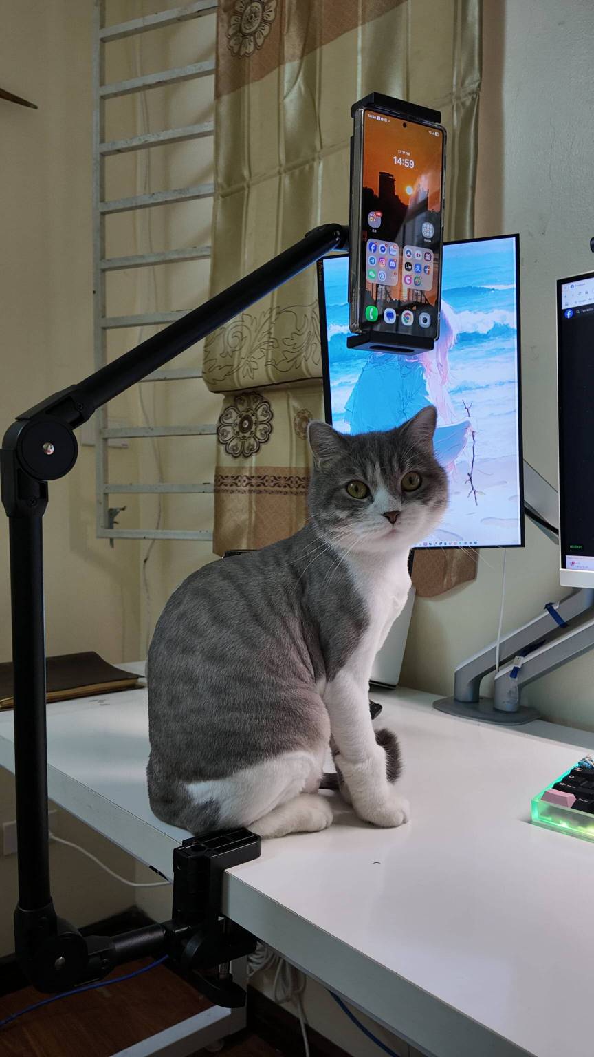 [Order] Epmic TM09 - Đã đóng ngày 05/06/2025