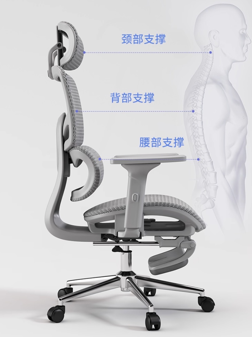 [Order] Ghế công thái học Ztra SG030