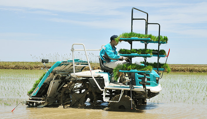 Phụ tùng máy cấy