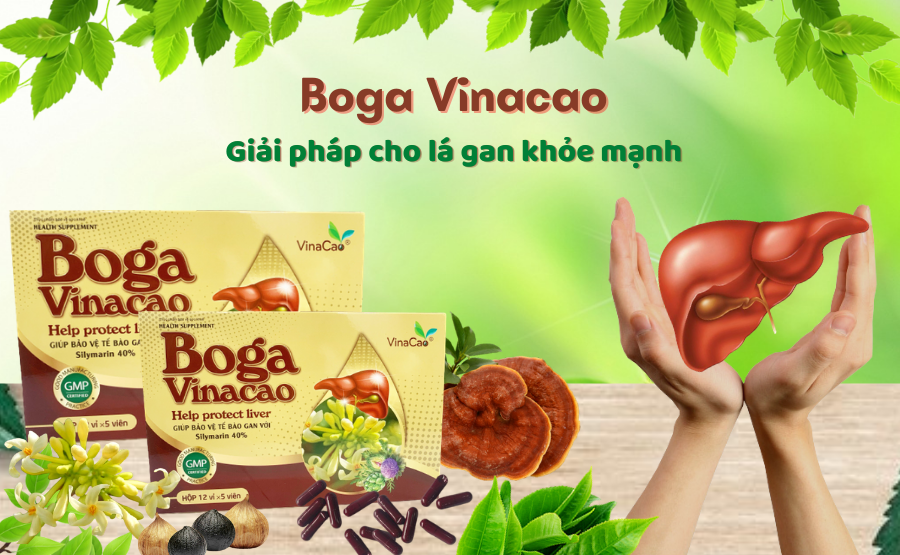 Boga Vinacao - Giải pháp tuyệt vời cho lá gan khoẻ mạnh