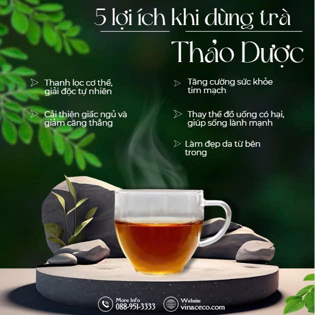 5 lí do bạn nên chọn trà thảo dược làm thức uống yêu thích