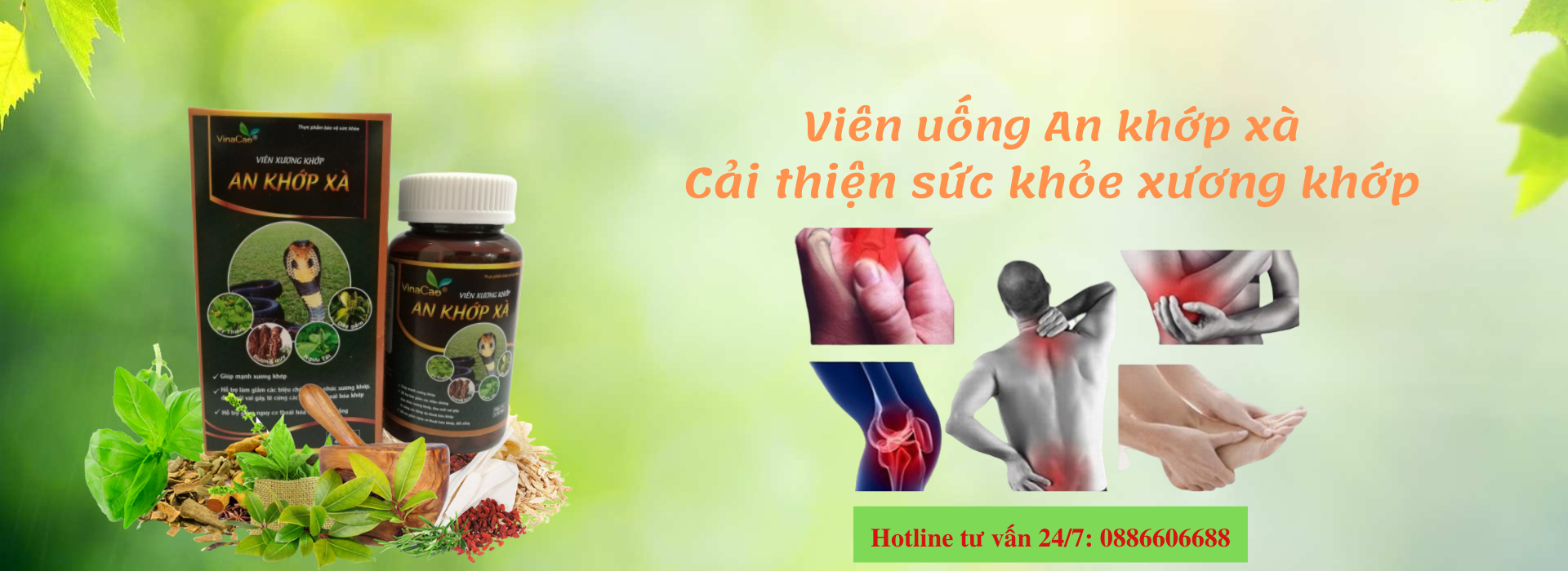 Viên xương khớp An Khớp Xà - Xua tan nỗi lo bệnh tuổi già