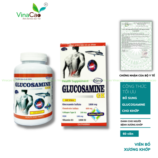 Glucosamine GH Vinacao