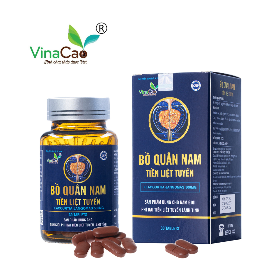 Bồ quân nam - Tiền liệt tuyến Vinacao