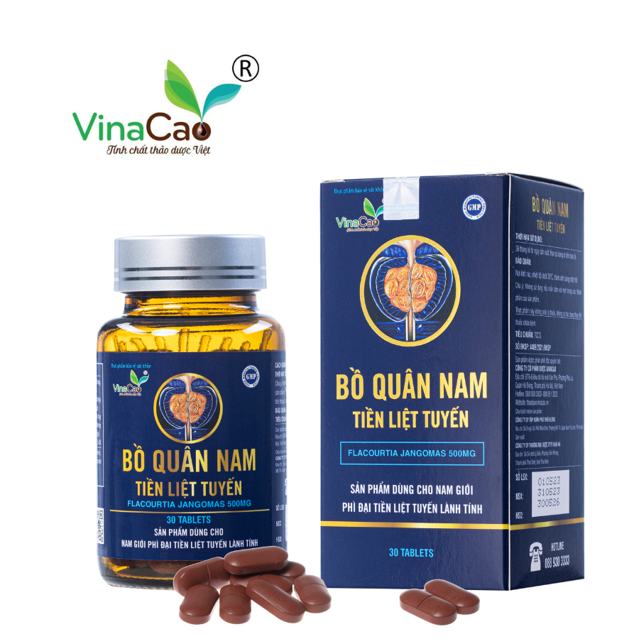 Bồ quân nam - Tiền liệt tuyến