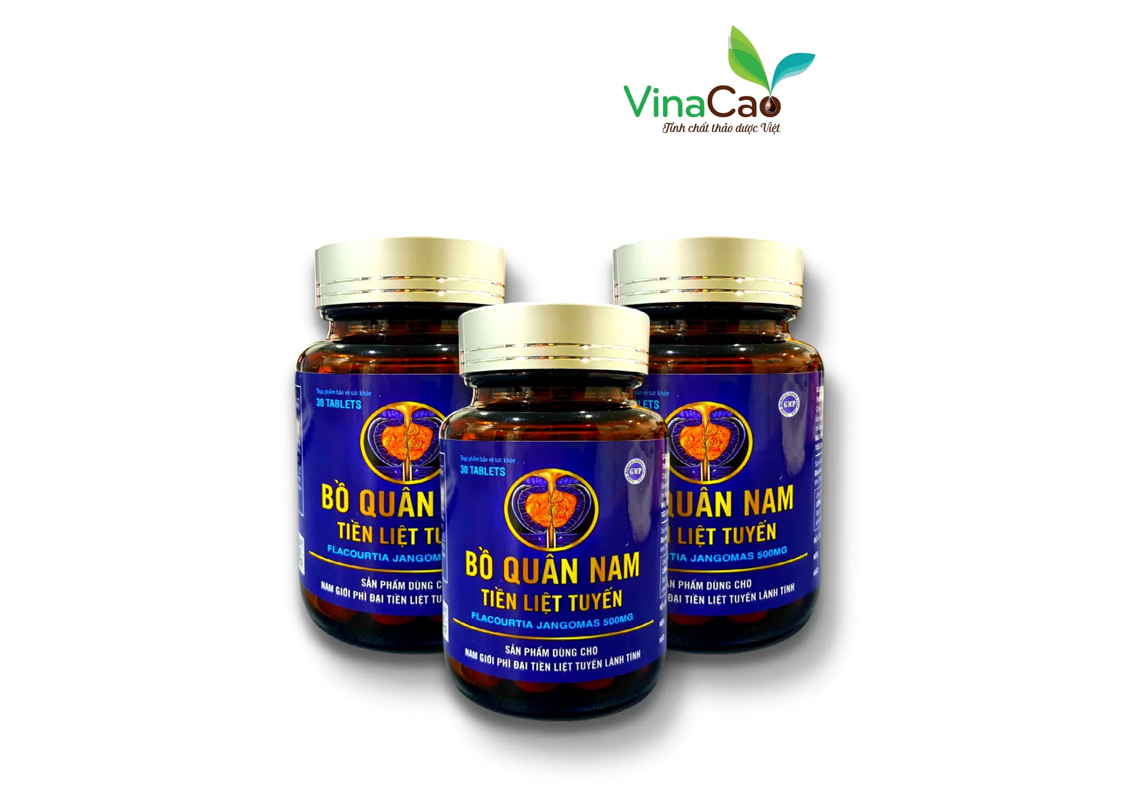 Bồ quân nam - Tiền liệt tuyến Vinacao