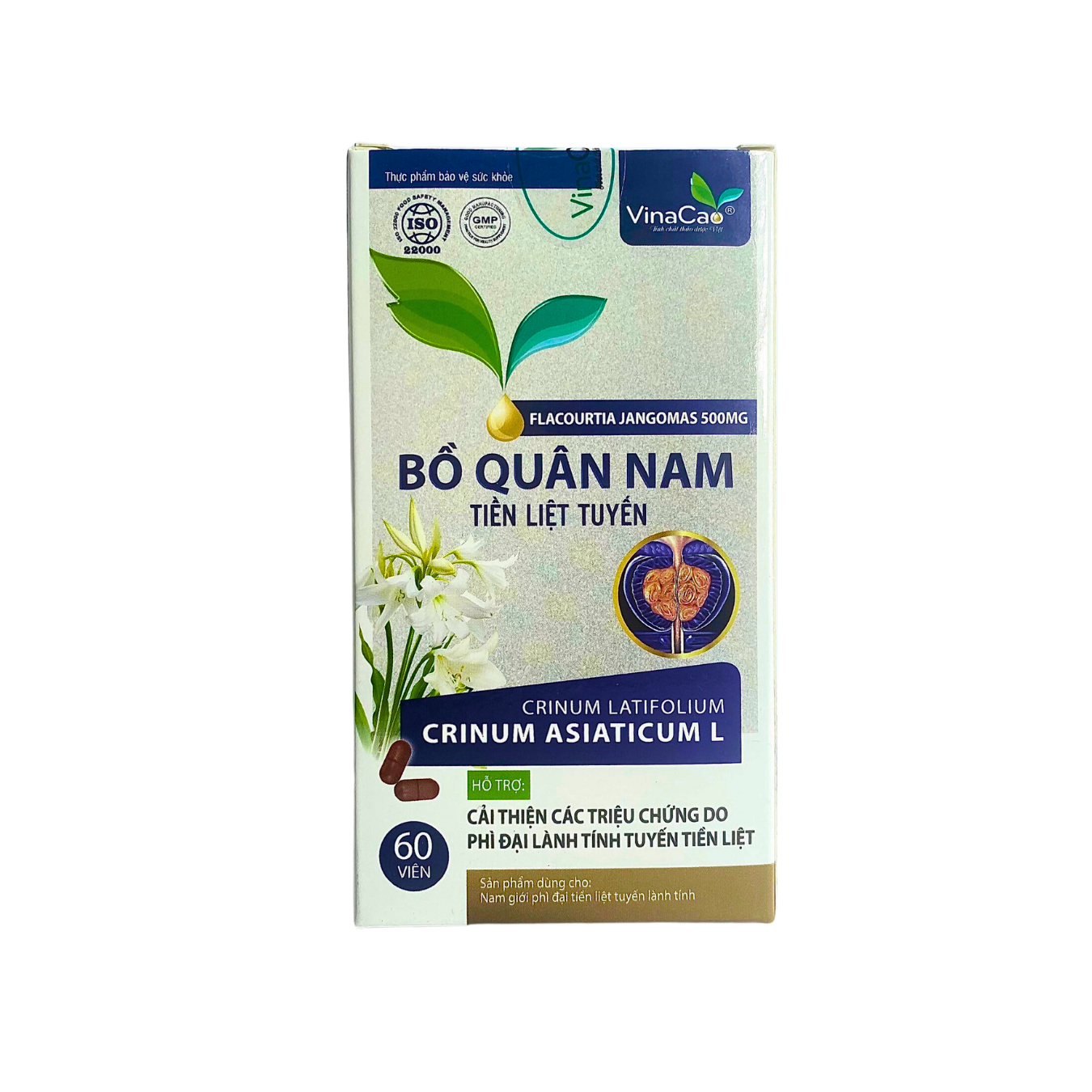 Bồ quân nam - Tiền liệt tuyến Vinacao