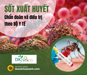 Sốt xuất huyết - Chẩn đoán và điều trị theo BỘ Y TẾ