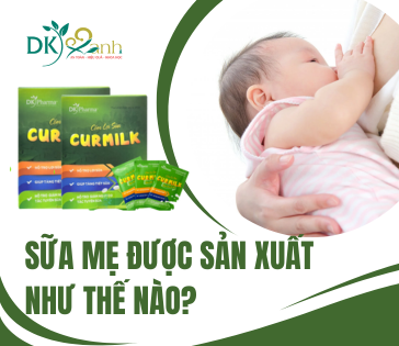 Sữa mẹ được sản xuất như thế nào?