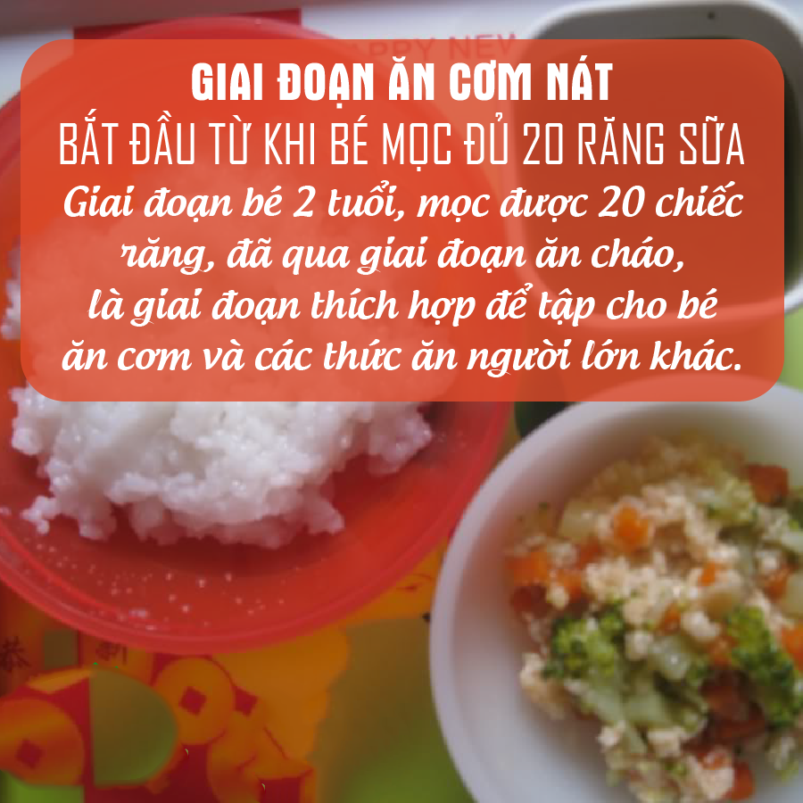 Giai đoạn 5