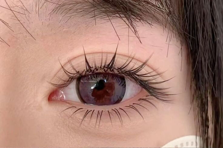Trung Tâm Dạy Nối Mi – Bệ Phóng Cho Sự Nghiệp Làm Đẹp