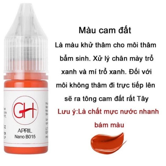 Mực Môi GH