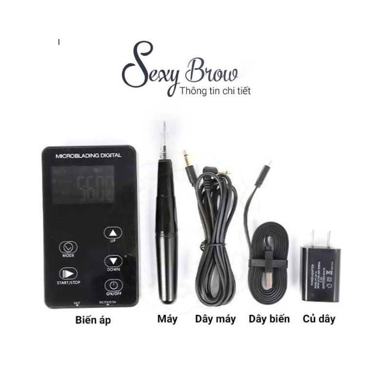 Máy Sexy Brown Ver Mới