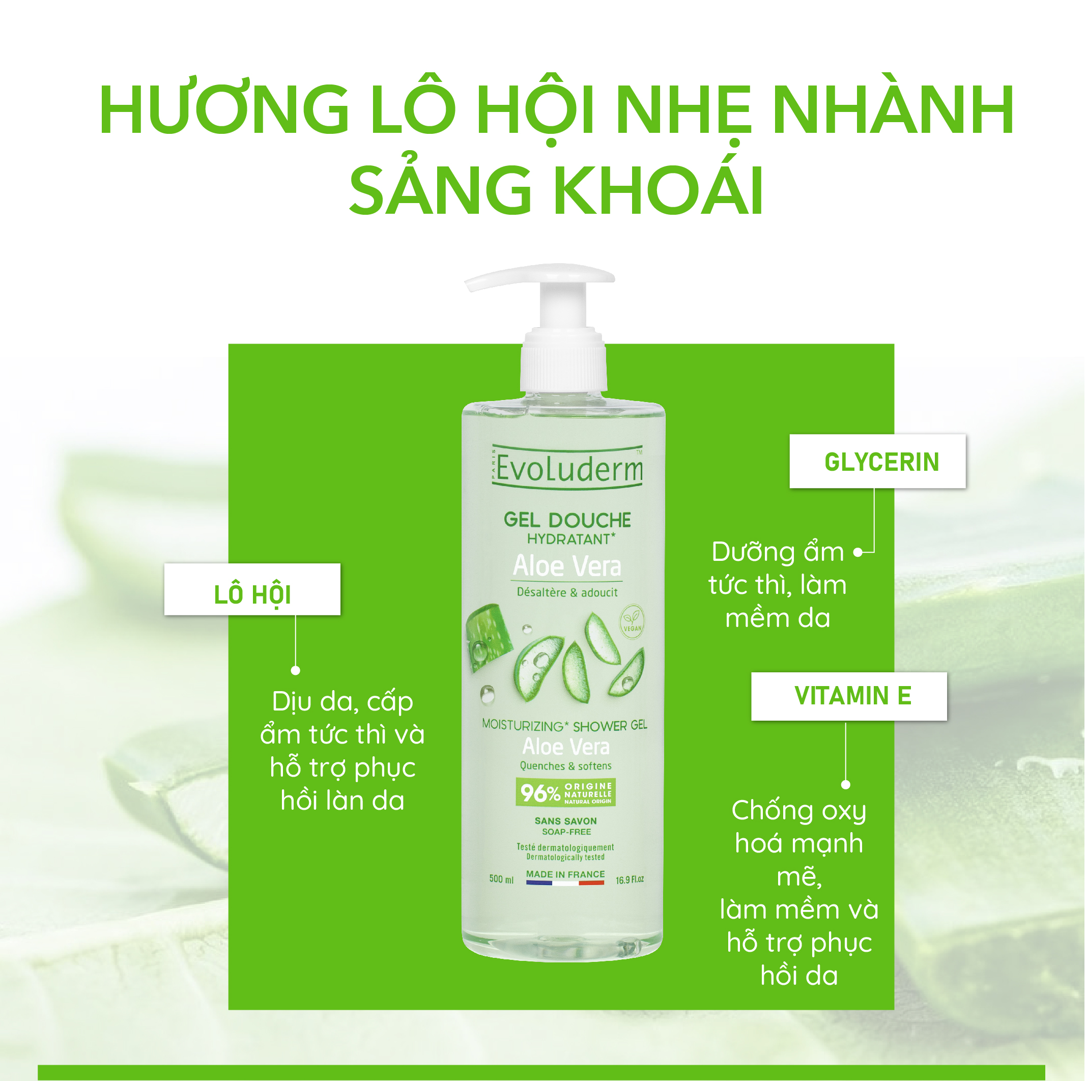 Gel tắm thiên nhiên thuần chay Evoluderm tinh chất Nha đam 500ml