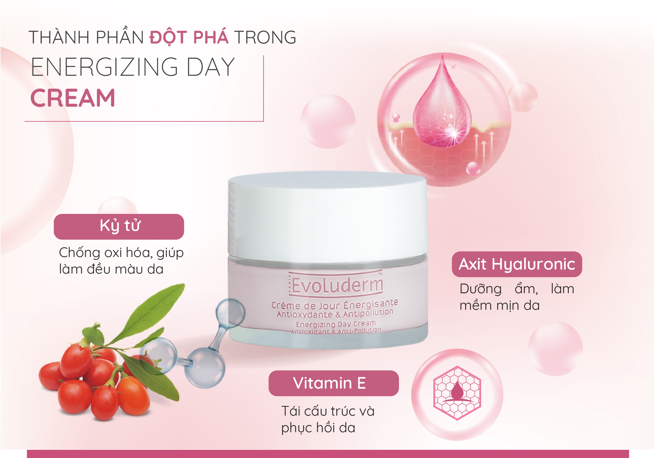 Kem dưỡng ban ngày thiên nhiên thuần chay Evoluderm trắng sáng mịn da Evoluderm 50ml