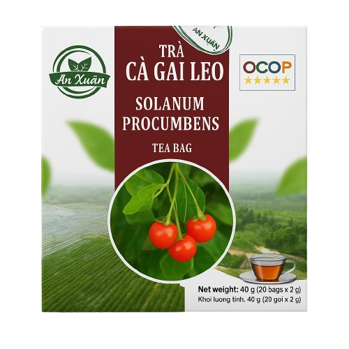 Trà túi lọc cà gai leo An Xuân 40g (20 túi lọc x 2g)