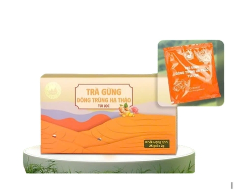 Trà Gừng Đông Trùng Hạ Thảo Túi Lọc Dược Gia Bảo Hộp 25 gói x 2g